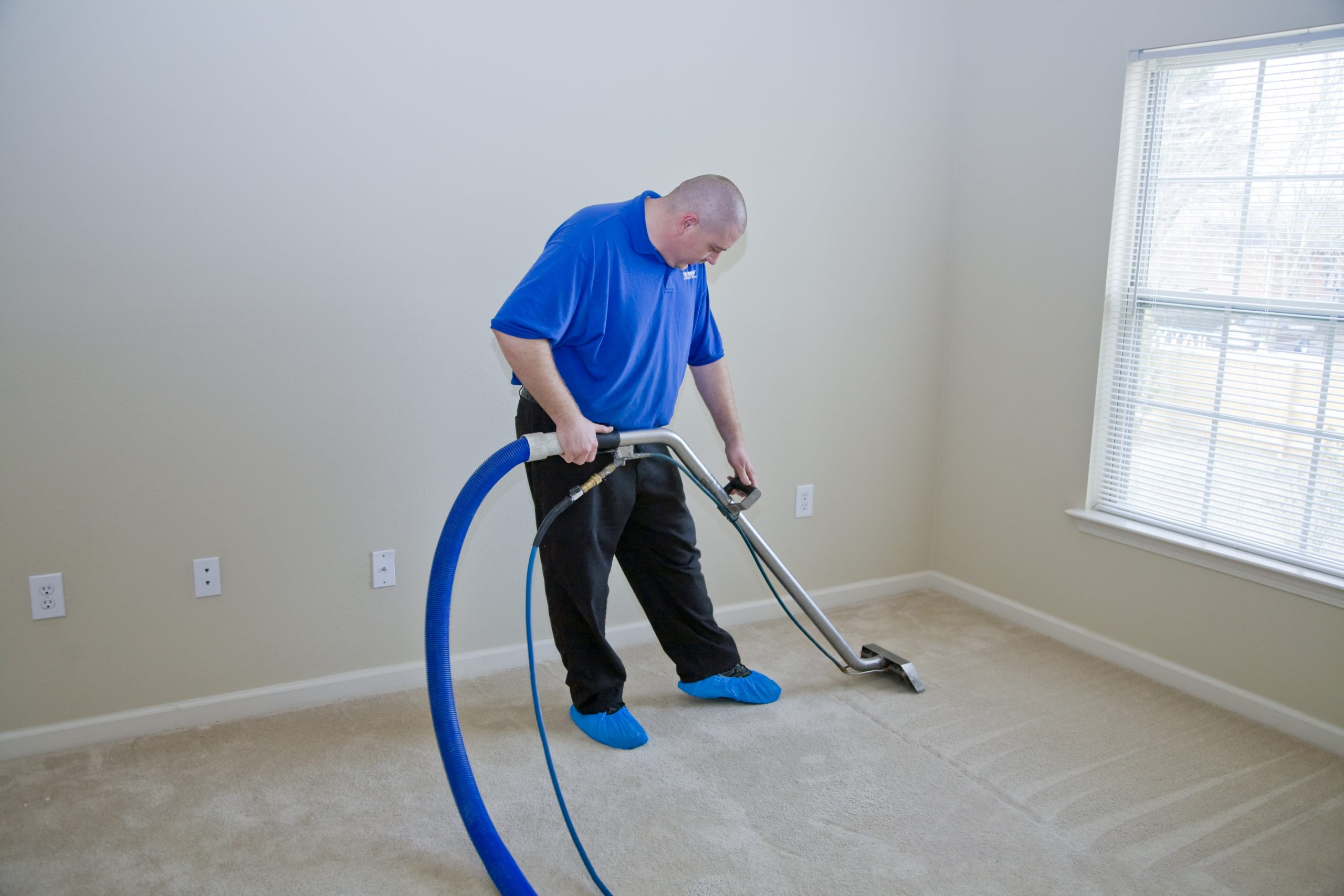 Carpet cleaning